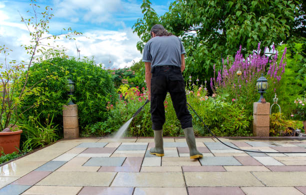 Best Roof Washing  in Grass Valley, CA
